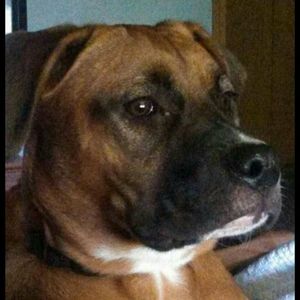 Meet your Posher, Cameron